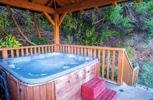 Wanaka Springs Lodge