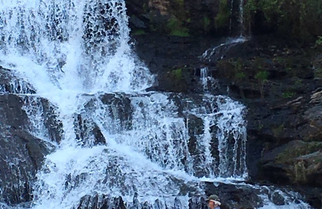 Waterfall Cottage in sight & sound of Cane Creek Falls, 2BR 2BA