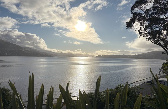 Waterfront 2-bedroom apartment with AC in Dunedin
