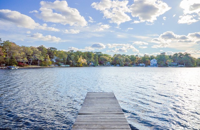 “Waterfront Cottage Nestled Between the Forest and the Sea”