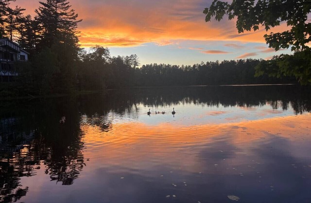 Waterfront In Law Suite on Wolf Pond