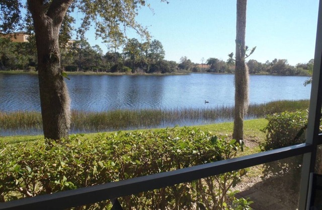 Waterfront Paradise