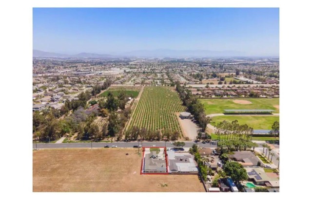 Wayside Vineyard