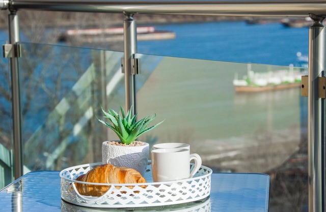 We offer you our apartment located on the promenade of Danube River.