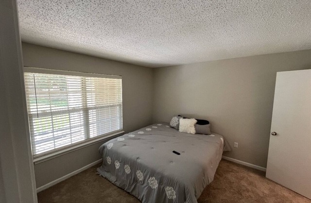 Welcome home nCozy one bed one bath nWith fire place