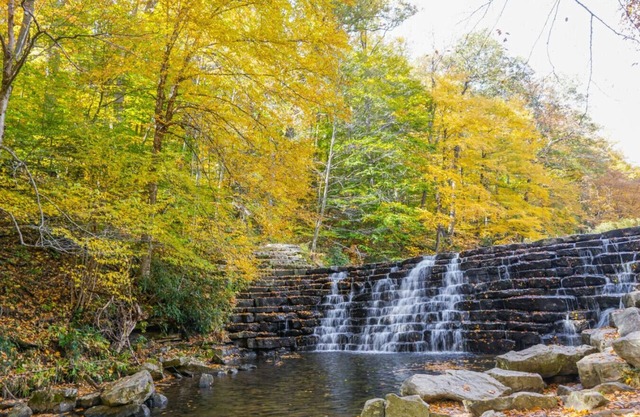 🍂 Whispering Pines – Autumn Mountain Retreat with Forest Views & Fireplace 🌲🔥