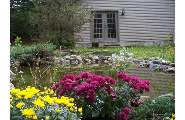 White Mountain Retreat - Family/Pet Friendly- Year Round : Ski areas Close by!