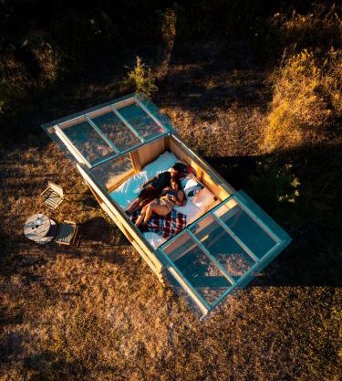 Wild Orchard Farm