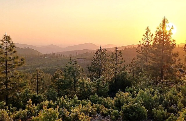 Wilderness Retreat