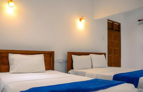 WildSky HomeStay