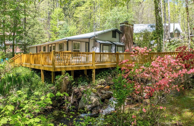 Winding Creek - Cozy cabin on the creek!