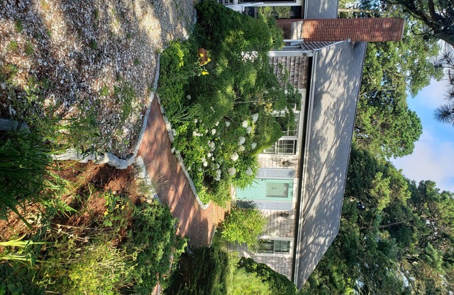 Winter Retreat! Cottage- like Cape Cod Home, wooded, quiet and serene.