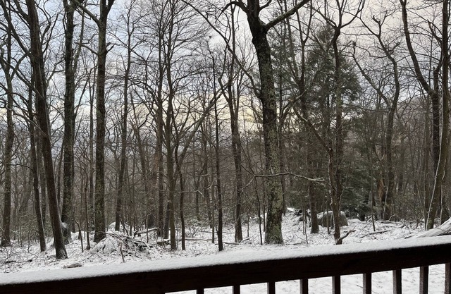 Wintergreen 1bed Condo, Walk to slopes, close to Hiking, Breweries, Wineries
