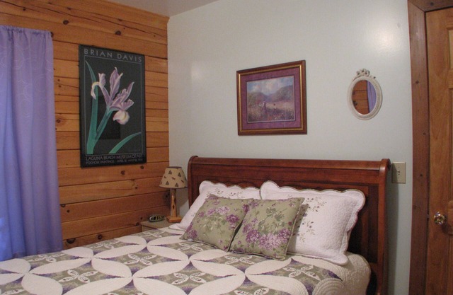 Wintersong Cabin #4 near Main St Skiing & Hot Spgs. Ask about last minute deals?