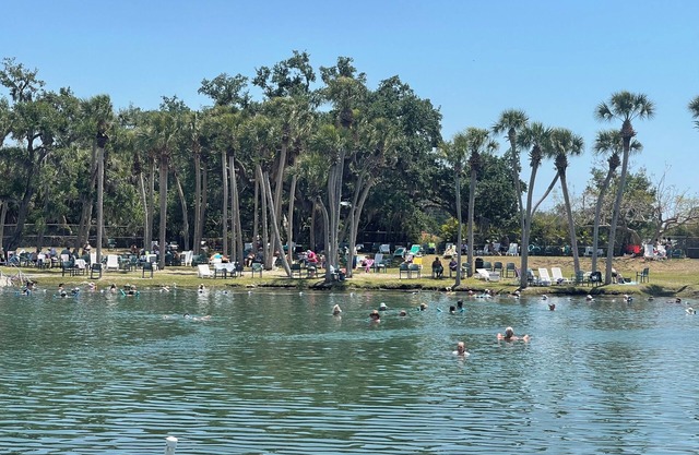 Within walking distance to world renown Warm Mineral Spring Lake in FL.