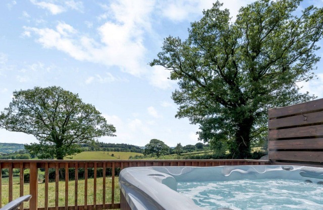 Wonderful private villa with WIFI, hot tub, TV, patio, pets allowed, panoramic view and parking