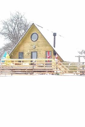 Wooden cottage "green house" in Bakuriani