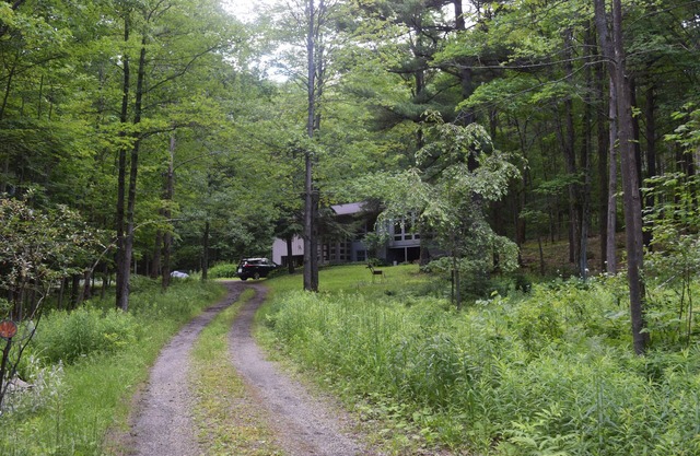 Woodland Privacy close to Cornell and Ithaca College