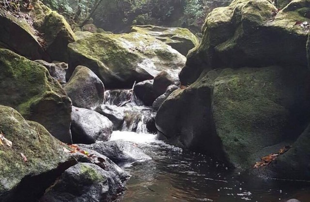 Woodlands San Rafael Heredia , Costa Rica