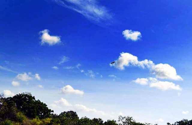 Yala wild corridor camp