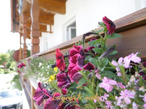 Your holiday apartment Bavarian more