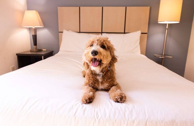 Your Nashville Escape – 3 Rooms with Full Kitchen, Near Local Hotspots & Trails