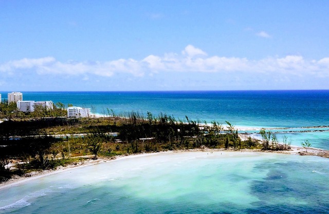 Your oceanfront row seat to a spectacular nature show!