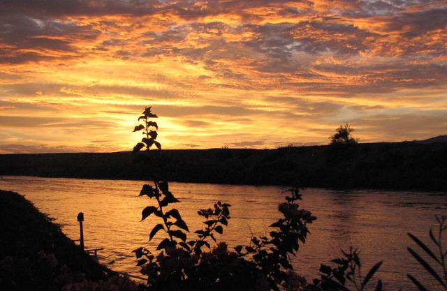 Your own dock on the Colorado River