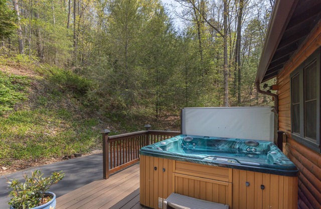 Your Smoky Mountain Cabin suite…In the heart of the Smokies. Dog friendly!