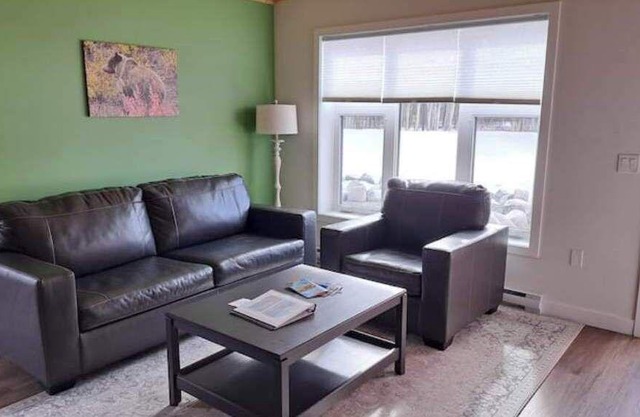 Yukon Hot Springs Villa #36/pet friendly