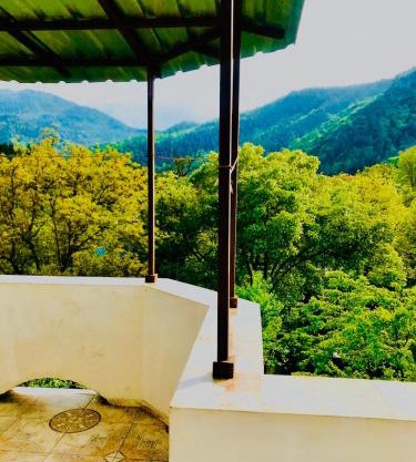 Zviad Guest House