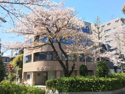 Adachi House | ゲストハウス昴