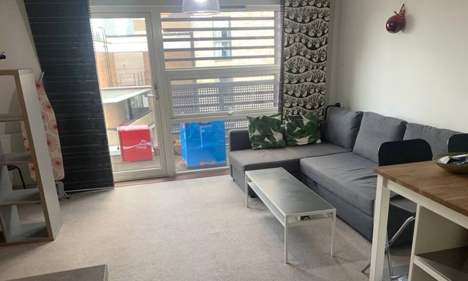 Tower Hamlets Apartment | 1 Bedroom Apartment in Mile End