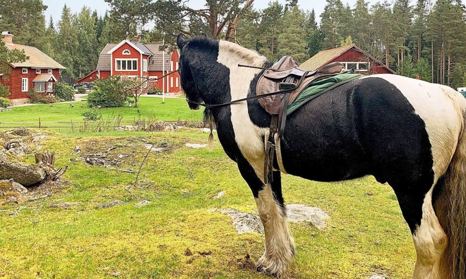 Hedesunda House | 10 person holiday home in Hedesunda