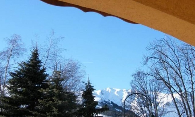 Saint-Martin-de-Belleville Apartment | 100m from ski slopes, view mountain/mountain, terrace, tv, ski locker, 32m²