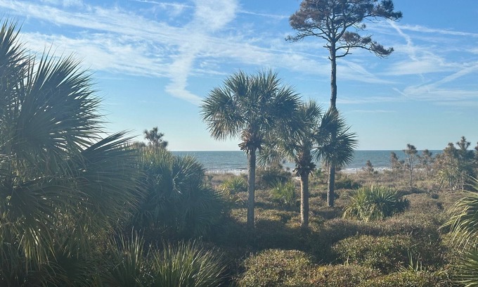 North Forest Beach Villa | 115 Breakers by 'hiltonheadscrentals': Great Spring/Summer dates are Available