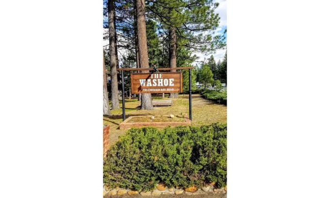 Y Area Apartment | 14-The Curious Cub pet friendly studio #14