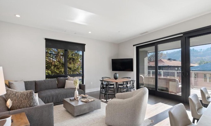 Downtown Asheville House | 145 Biltmore Ave Unit 304