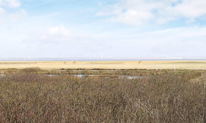 Klegod Strand House | 18 person holiday home in Ringkøbing
