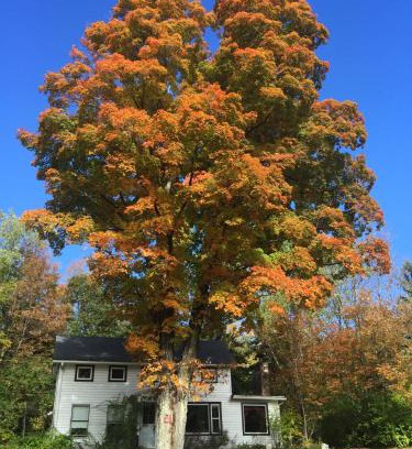 Tannersville Apartment | 1894 Catskills Farmhouse Retreat