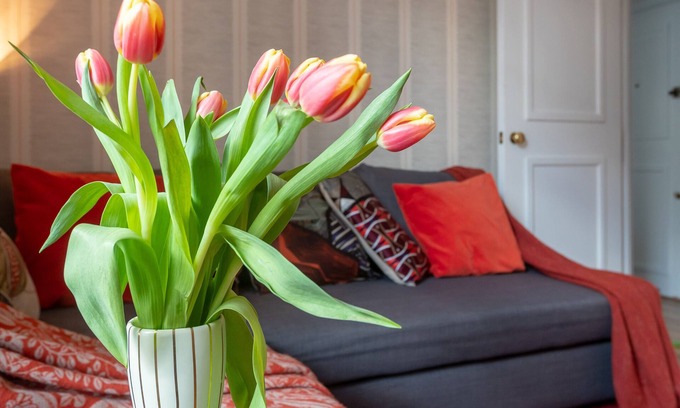 Holborn Apartment | 1BR Flat Covent Garden - Sleeps 4 - Prime Spot - WiFi - Discounts on Stays