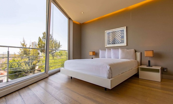 Alvaro Obregon Condo | 1BR Junior Suite Summ