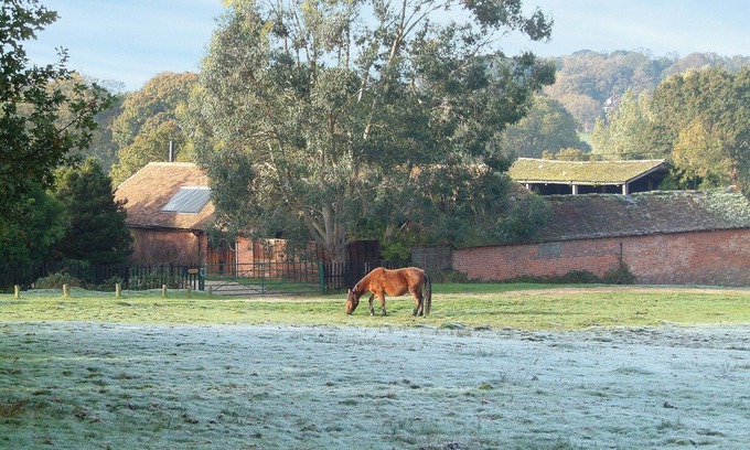 New Forest District Cottage | 2 bedroom accommodation in Shobley, Ringwood