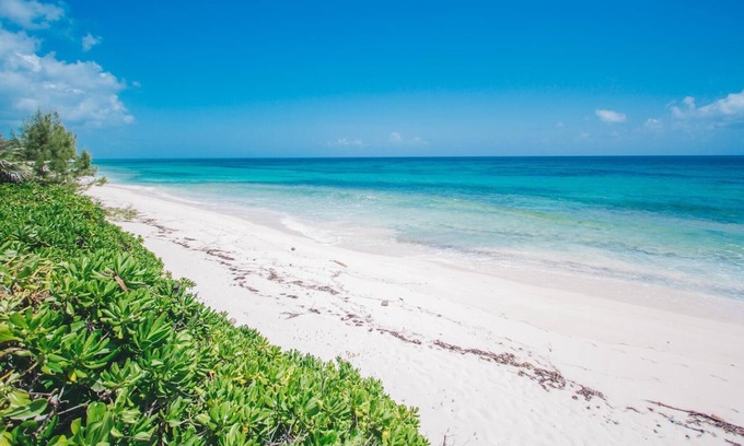 North Palmetto Point House | 2 Bedroom Beach House Steps from Mile-Long Pink Sand Beach