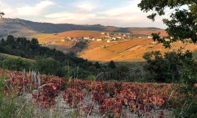 Villie-Morgon House | 2-bedroom gîte with panoramic views, surrounded by vineyards and surrounded by nature.