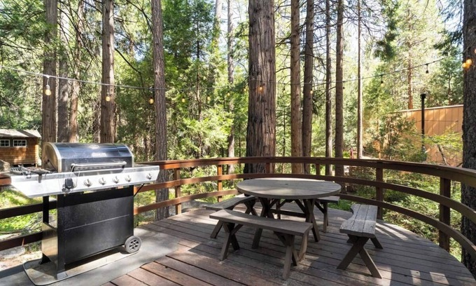 Idyllwild Cabin | 2 Brooks - Walk To Town, Seasonal Stream, Awesome Back Deck & Cool Architecture