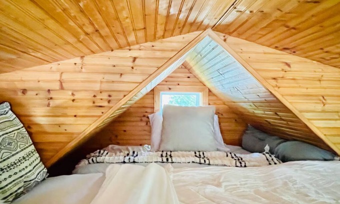Lake Toxaway Cabin | 2 Cozy Bear Fun Cabins, Hiking Fire pit, waterfalls with Wifi kitchen Tree swing