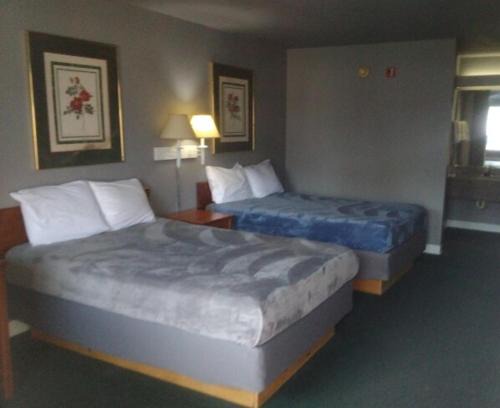 Livingston Apartment | 2 Double Beds Hotel Studio 115