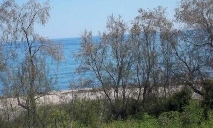 Ventiseri Apartment | 2-room vacation rental in CORSE COTE ORIENTALE