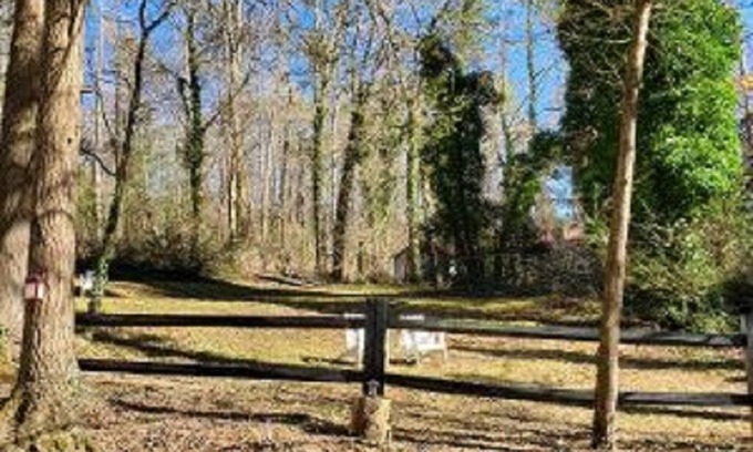 Mountain City House | 2 story rustic cabin in beautiful Clayton, Georgia!